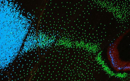 474576 (a): :1920x1200